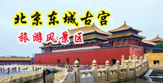 黑丝搞鸡上床免费视频中国北京-东城古宫旅游风景区